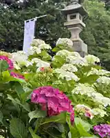 高司神社〜むすびの神の鎮まる社〜(福島県)