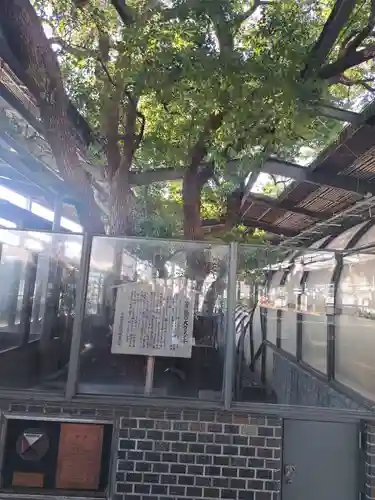 萱島神社(大阪府)