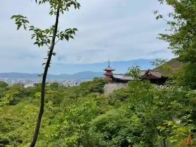 清水寺(京都府)