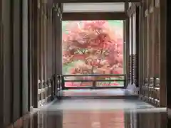 長谷寺の景色