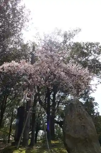 興福寺(奈良県)