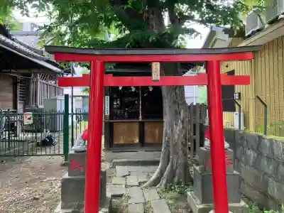 南品川諏訪神社の{uncategorized: "未分類", other: "その他", undefined: "問題あり", building: "その他建物", grave: "お墓", sacred_gate: "鳥居", guardian: "狛犬", statue: "像", buddha: "仏像", history: "歴史", nature: "自然", garden: "庭園", animal: "動物", pagoda: "塔", temizu: "手水舎", mountain_gate: "山門・神門", sanctuary: "本殿・本堂", subordinate: "末社・摂社", art: "芸術", scenery: "景色", jizo: "地蔵", ema: "絵馬", goshuin: "御朱印", omikuji: "おみくじ", items: "授与品その他", amulet: "お守り", goshuincho: "御朱印帳", eats: "食事", festival: "お祭り", votive_dance: "神楽", shichigosan: "七五三参", wedding: "結婚式", experience: "体験その他", initially: "初詣", around: "周辺", anti_infection: "感染症対策"}