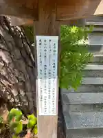 新潟大神宮(新潟県)