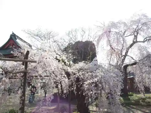 慶龍寺(茨城県)