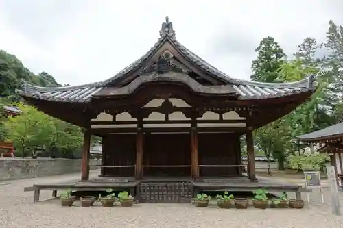 金剛寺のその他建物