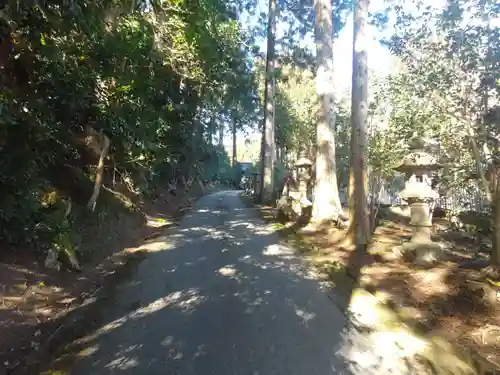 大蓮寺(新潟県)