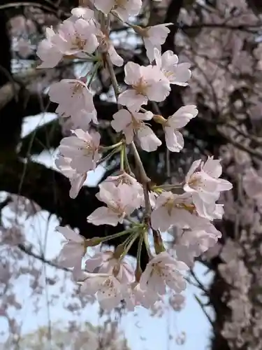 教重寺(福井県)
