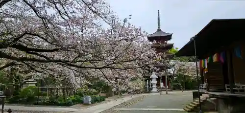 法華経寺の{uncategorized: "未分類", other: "その他", undefined: "問題あり", building: "その他建物", grave: "お墓", sacred_gate: "鳥居", guardian: "狛犬", statue: "像", buddha: "仏像", history: "歴史", nature: "自然", garden: "庭園", animal: "動物", pagoda: "塔", temizu: "手水舎", mountain_gate: "山門・神門", sanctuary: "本殿・本堂", subordinate: "末社・摂社", art: "芸術", scenery: "景色", jizo: "地蔵", ema: "絵馬", goshuin: "御朱印", omikuji: "おみくじ", items: "授与品その他", amulet: "お守り", goshuincho: "御朱印帳", eats: "食事", festival: "お祭り", votive_dance: "神楽", shichigosan: "七五三参", wedding: "結婚式", experience: "体験その他", initially: "初詣", around: "周辺", anti_infection: "感染症対策"}