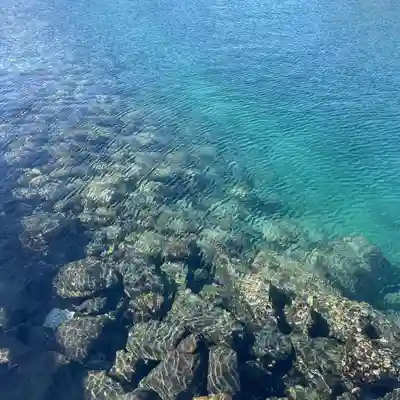 田島神社(佐賀県)