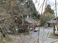 大豊神社(京都府)