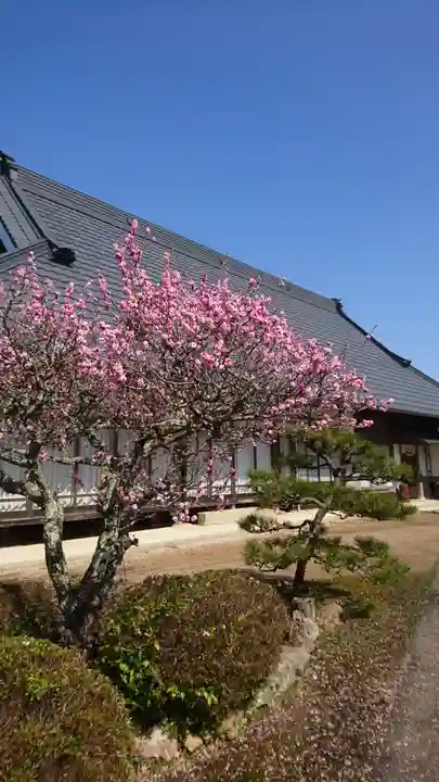 甲山寺の自然
