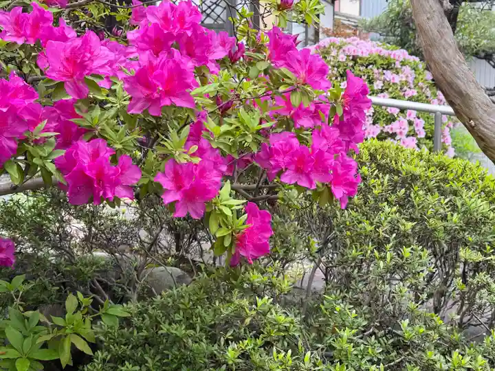 西方山極楽寺(岐阜県)