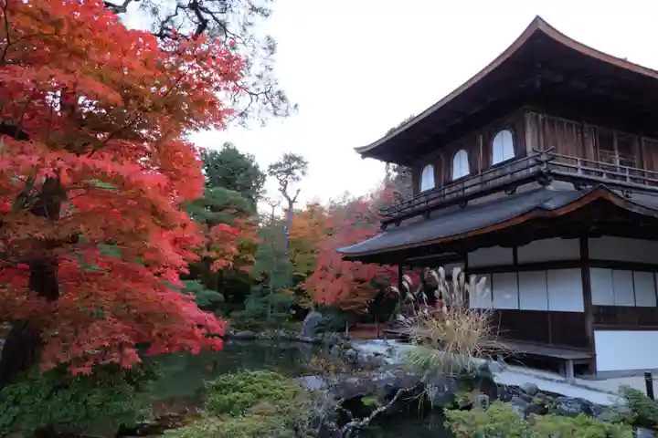 慈照寺(慈照禅寺・銀閣寺)(京都府)