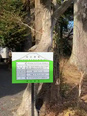 熊野神社(静岡県)