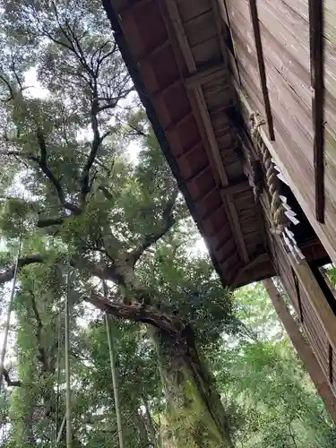 熊野神社の自然