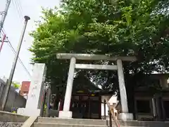 浅草富士浅間神社の鳥居