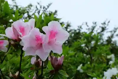 屋島寺(香川県)