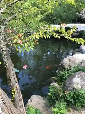 宇佐神宮(大分県)