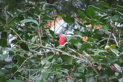 福仙寺(山口県)