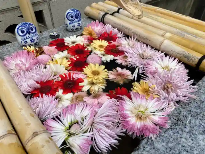 【閉業】小石川大神宮の手水舎