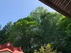 高水山　常福院　龍学寺　の自然