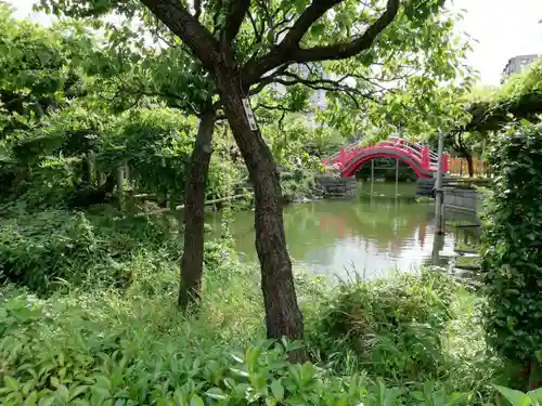 亀戸天神社の庭園