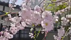 石像寺（釘抜地蔵）の自然