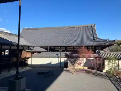 知恩院(京都府)