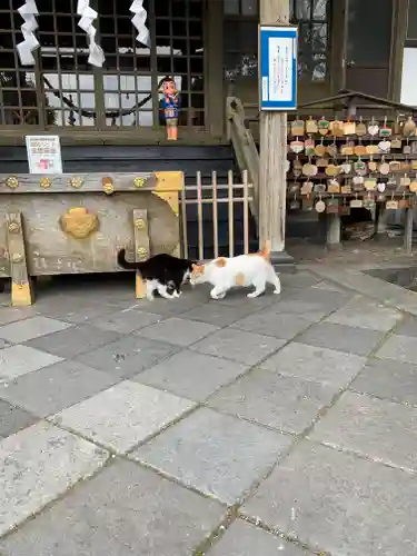 今市報徳二宮神社(栃木県)
