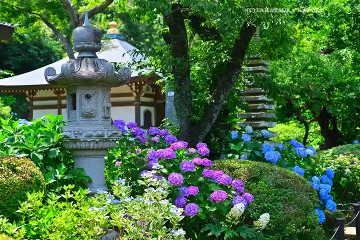 妙楽寺(神奈川県)