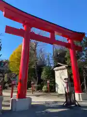 鷲宮神社の鳥居