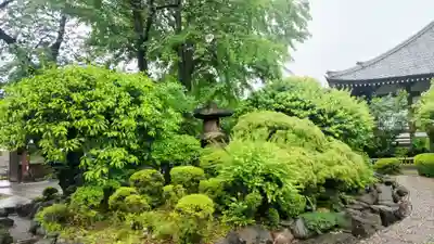 養源寺(東京都)