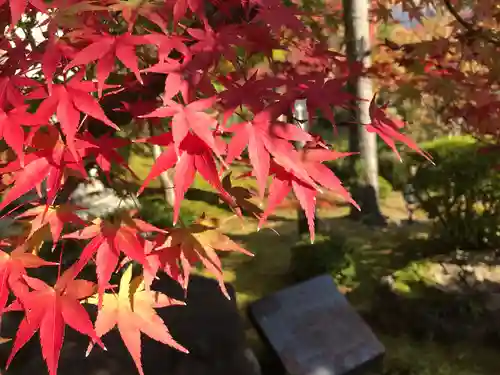 禅林寺（永観堂）の景色