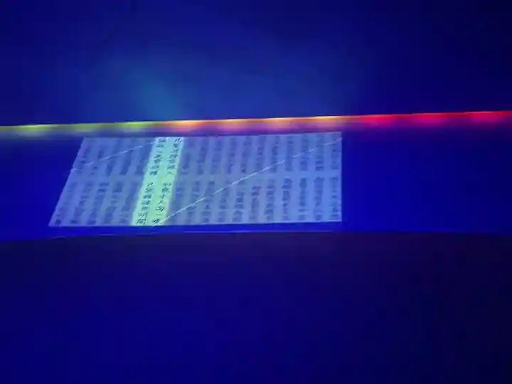 東本願寺本廟 牛久浄苑(牛久大仏)(茨城県)