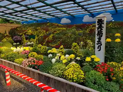 彌彦神社(新潟県)