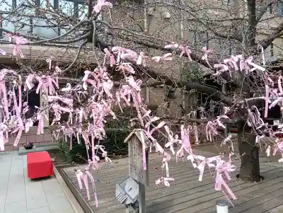 桜神宮(東京都)