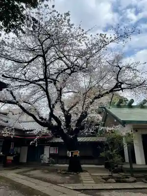 駒込天祖神社の{uncategorized: "未分類", other: "その他", undefined: "問題あり", building: "その他建物", grave: "お墓", sacred_gate: "鳥居", guardian: "狛犬", statue: "像", buddha: "仏像", history: "歴史", nature: "自然", garden: "庭園", animal: "動物", pagoda: "塔", temizu: "手水舎", mountain_gate: "山門・神門", sanctuary: "本殿・本堂", subordinate: "末社・摂社", art: "芸術", scenery: "景色", jizo: "地蔵", ema: "絵馬", goshuin: "御朱印", omikuji: "おみくじ", items: "授与品その他", amulet: "お守り", goshuincho: "御朱印帳", eats: "食事", festival: "お祭り", votive_dance: "神楽", shichigosan: "七五三参", wedding: "結婚式", experience: "体験その他", initially: "初詣", around: "周辺", anti_infection: "感染症対策"}