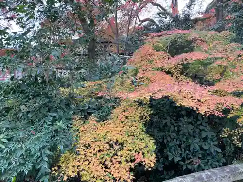 大石神社(京都府)