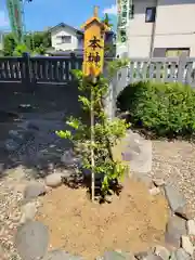 雷神社(東京都)
