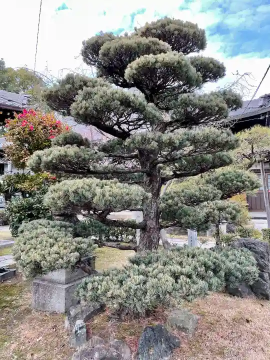妙行寺(愛知県)