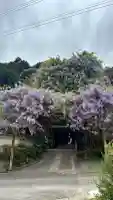 神光寺の{uncategorized: "未分類", other: "その他", undefined: "問題あり", building: "その他建物", grave: "お墓", sacred_gate: "鳥居", guardian: "狛犬", statue: "像", buddha: "仏像", history: "歴史", nature: "自然", garden: "庭園", animal: "動物", pagoda: "塔", temizu: "手水舎", mountain_gate: "山門・神門", sanctuary: "本殿・本堂", subordinate: "末社・摂社", art: "芸術", scenery: "景色", jizo: "地蔵", ema: "絵馬", goshuin: "御朱印", omikuji: "おみくじ", items: "授与品その他", amulet: "お守り", goshuincho: "御朱印帳", eats: "食事", festival: "お祭り", votive_dance: "神楽", shichigosan: "七五三参", wedding: "結婚式", experience: "体験その他", initially: "初詣", around: "周辺", anti_infection: "感染症対策"}