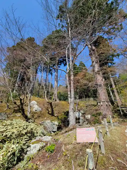 百済寺(滋賀県)
