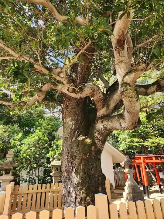 芦屋神社(兵庫県)