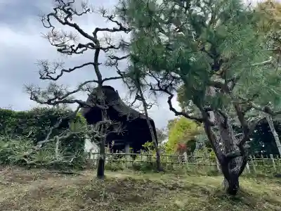 長壽寺（長寿寺）(神奈川県)