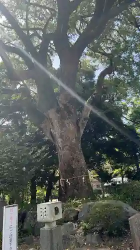 岐阜護國神社の{uncategorized: "未分類", other: "その他", undefined: "問題あり", building: "その他建物", grave: "お墓", sacred_gate: "鳥居", guardian: "狛犬", statue: "像", buddha: "仏像", history: "歴史", nature: "自然", garden: "庭園", animal: "動物", pagoda: "塔", temizu: "手水舎", mountain_gate: "山門・神門", sanctuary: "本殿・本堂", subordinate: "末社・摂社", art: "芸術", scenery: "景色", jizo: "地蔵", ema: "絵馬", goshuin: "御朱印", omikuji: "おみくじ", items: "授与品その他", amulet: "お守り", goshuincho: "御朱印帳", eats: "食事", festival: "お祭り", votive_dance: "神楽", shichigosan: "七五三参", wedding: "結婚式", experience: "体験その他", initially: "初詣", around: "周辺", anti_infection: "感染症対策"}
