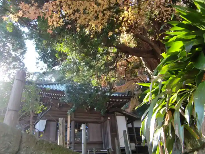 安國論寺(安国論寺)(神奈川県)