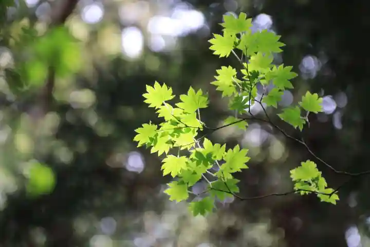 鹿島大神宮の庭園