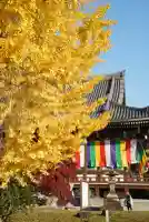 智積院(京都府)