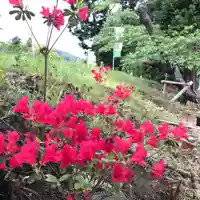高司神社〜むすびの神の鎮まる社〜の自然