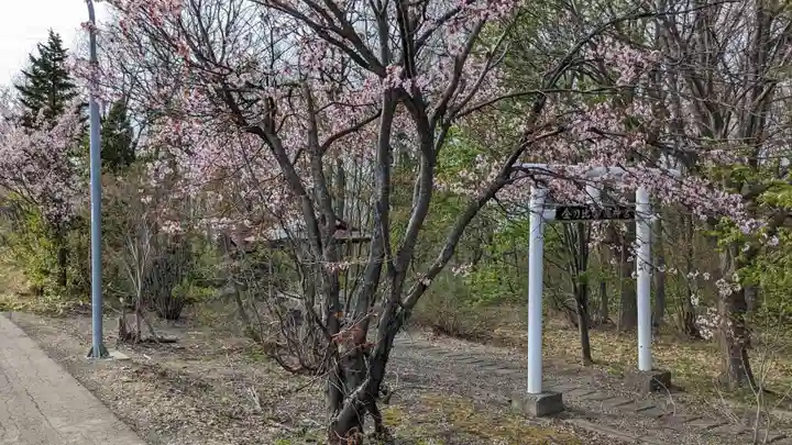 金刀比羅神宮の自然